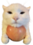 appleCat emote for Discord