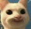 appycat emote for Discord