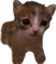 APLAKSUS emote for Discord