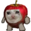 applecatSad emote for Discord