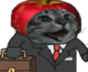 appleCatHappyBusiness static emote for Discord, Twitch and Slack