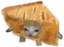 ApplePieCat emote for Discord