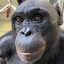 ape emote for Discord