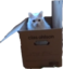 apolloBox emote for Discord