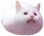 ApolEgg emote for Discord