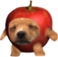 applecatButters emote for Discord