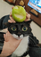 AppleBean emote for Discord