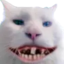 apohowoah emote for Discord