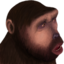 APEHUH emote for Discord