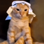 arabicat emote for Discord