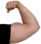 ArmRight emote for Discord