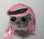 araboh emote for Discord