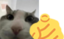 AREYOUSERIW emote for Discord