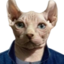 archieLegend emote for Discord