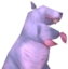 AwakenRat emote for Discord