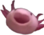 axolotlPog emote for Discord