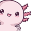 AxoWOW emote for Discord