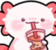 AxolotlSippy emote for Discord