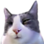 Awakebutatwhatcost emote for Discord