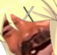 AYAKEKW emote for Discord