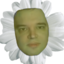 azuneroze emote for Discord