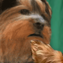 bbAlright static emote for Discord, Twitch and Slack