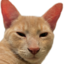 b2suszoomed emote for Discord