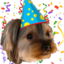 BBirthday emote for Discord
