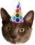 bdayzelda emote for Discord