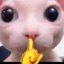 Bingusshh emote for Discord