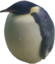 BIGGESTBIRD emote for Discord