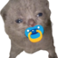 binky emote for Discord
