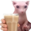 BingusChocoMilk emote for Discord