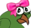 Birdgecute emote for Discord
