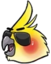 bird emote for Discord