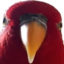 BirdStare emote for Discord