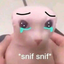 BingusCry emote for Discord
