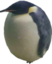 BIRD emote for Discord