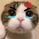 bibint static emote for Discord, Twitch and Slack