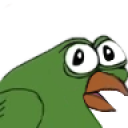 birdgeWhat static emote for Discord, Twitch and Slack