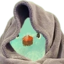 birbComfy emote for Discord