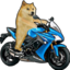 biker emote for Discord