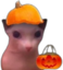 Bingusween emote for Discord