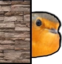 BirbPeek emote for Discord