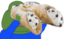 binocannoli emote for Discord