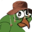 birdgekrikey emote for Discord