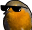 BirbCool emote for Discord