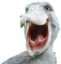 birdKEK emote for Discord