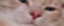 biggestman emote for Discord