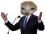 BidenCat emote for Discord